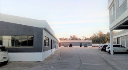 Murs commerciaux à Palmela de 2 600 m²