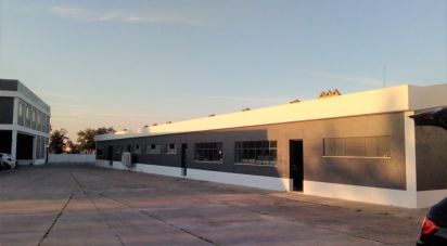 Murs commerciaux à Palmela de 2 600 m²