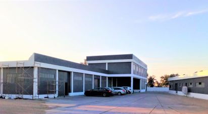 Murs commerciaux à Palmela de 2 600 m²