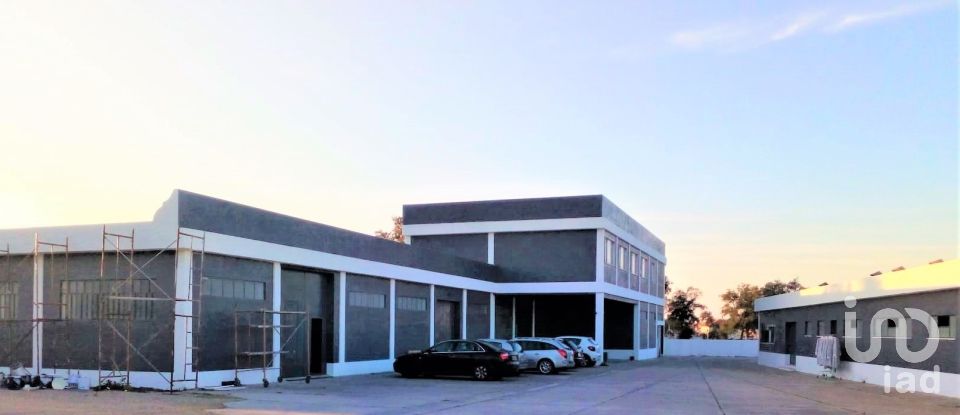 Murs commerciaux à Palmela de 2 600 m²