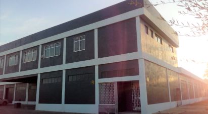 Murs commerciaux à Palmela de 2 600 m²