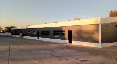 Murs commerciaux à Palmela de 2 600 m²