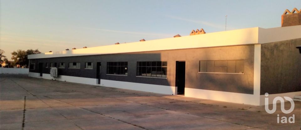 Murs commerciaux à Palmela de 2 600 m²