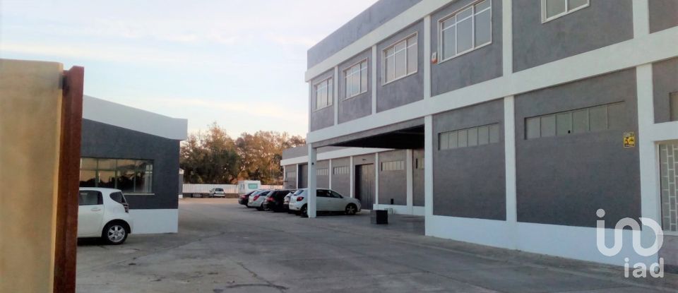 Murs commerciaux à Palmela de 2 600 m²