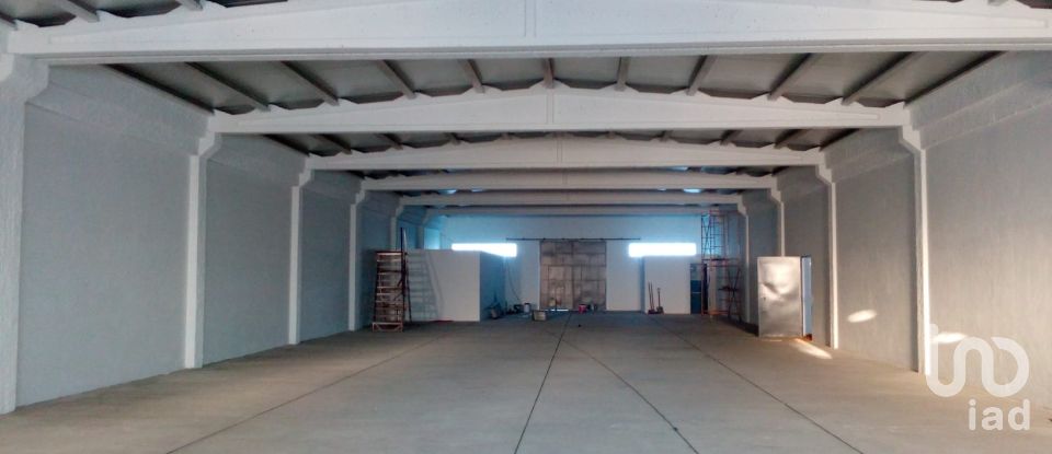 Murs commerciaux à Palmela de 2 600 m²