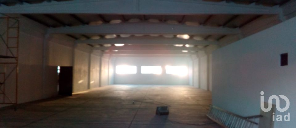 Murs commerciaux à Palmela de 2 600 m²