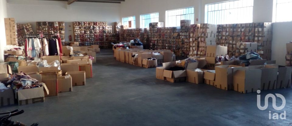 Murs commerciaux à Palmela de 2 600 m²