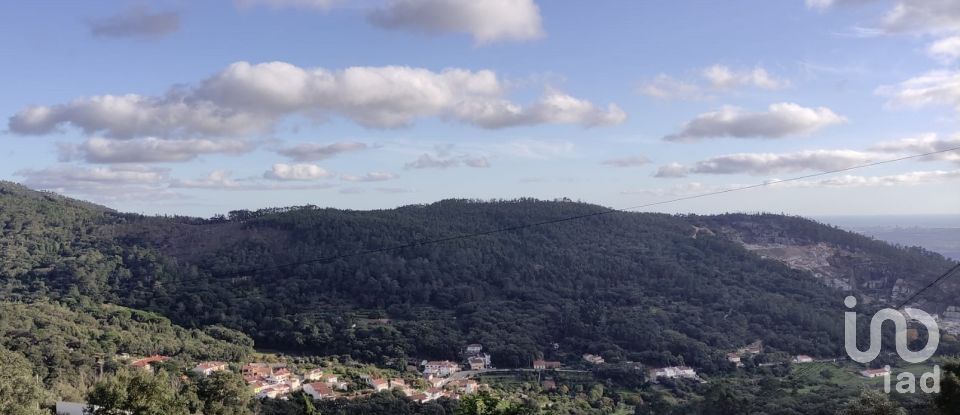 Terrain à Monchique de 1 400 m²