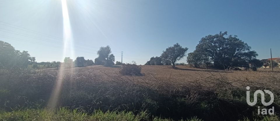 Terreno em Algoz e Tunes de 1 400 m²