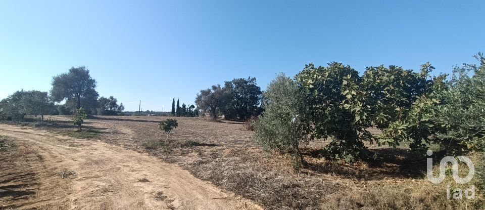 Land in Algoz e Tunes of 1,400 m²