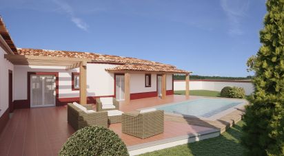 Casa tradicional T3 em Caldas da Rainha - Santo Onofre e Serra do Bouro de 225 m²