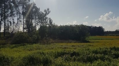 Agricultural land in Barqueiros of 10,895 m²