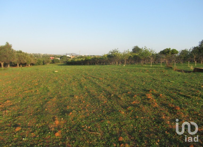 Terrain agricole à Boliqueime de 7 000 m²