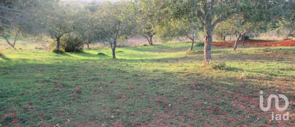 Agricultural land in Boliqueime of 7,000 m²
