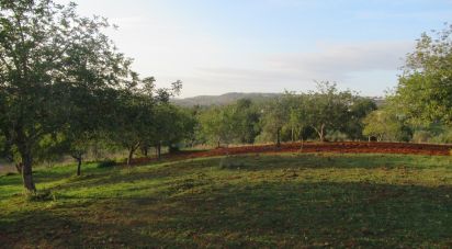 Terrain agricole à Boliqueime de 7 000 m²