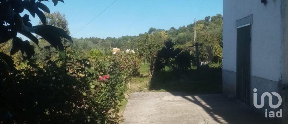 Traditional house T3 in Gouveia of 224 m²