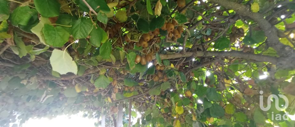 Traditional house T3 in Gouveia of 224 m²