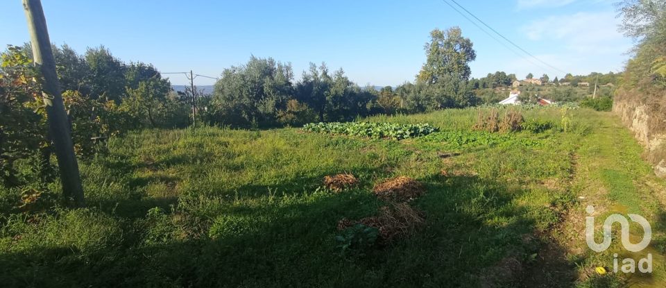 Traditional house T3 in Gouveia of 224 m²