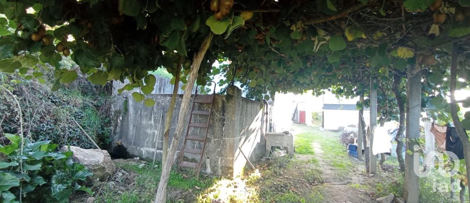 Traditional house T3 in Gouveia of 224 m²