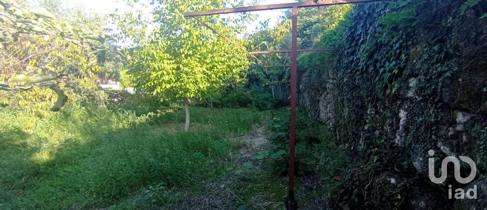 Traditional house T3 in Gouveia of 224 m²