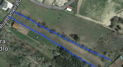 Terrain à Sabugal e Aldeia de Santo António de 5 720 m²