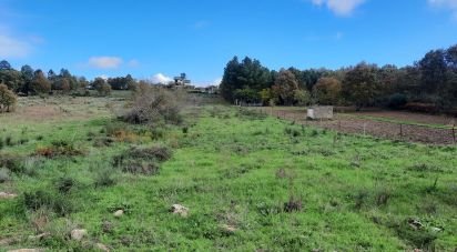 Terrain à Sabugal e Aldeia de Santo António de 5 720 m²