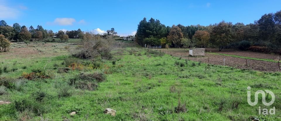 Terreno em Sabugal e Aldeia de Santo António de 5 720 m²