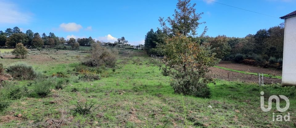 Terreno em Sabugal e Aldeia de Santo António de 5 720 m²