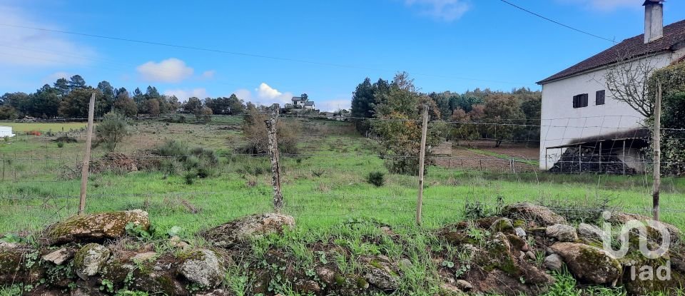 Terreno em Sabugal e Aldeia de Santo António de 5 720 m²