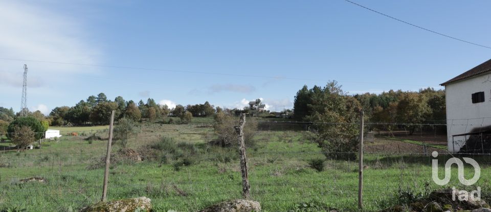 Terreno em Sabugal e Aldeia de Santo António de 5 720 m²