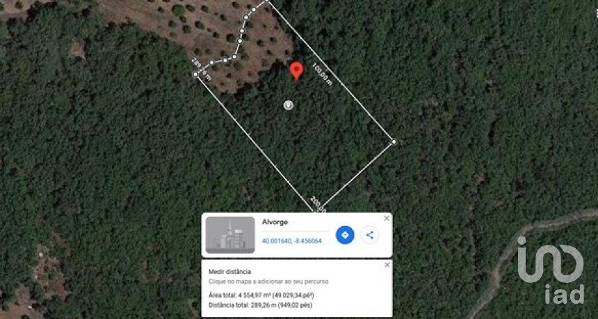 Terreno em Alvorge de 4 550 m²