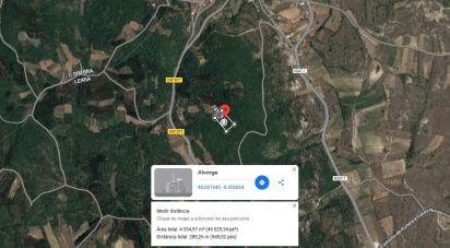 Land in Alvorge of 4,550 m²