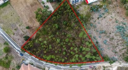 Terrain à bâtir à Marinha Grande de 4 547 m²