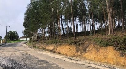 Terrain à bâtir à Marinha Grande de 4 547 m²