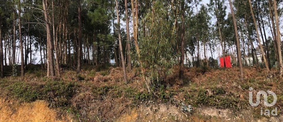 Building plot in Marinha Grande of 4,547 m²