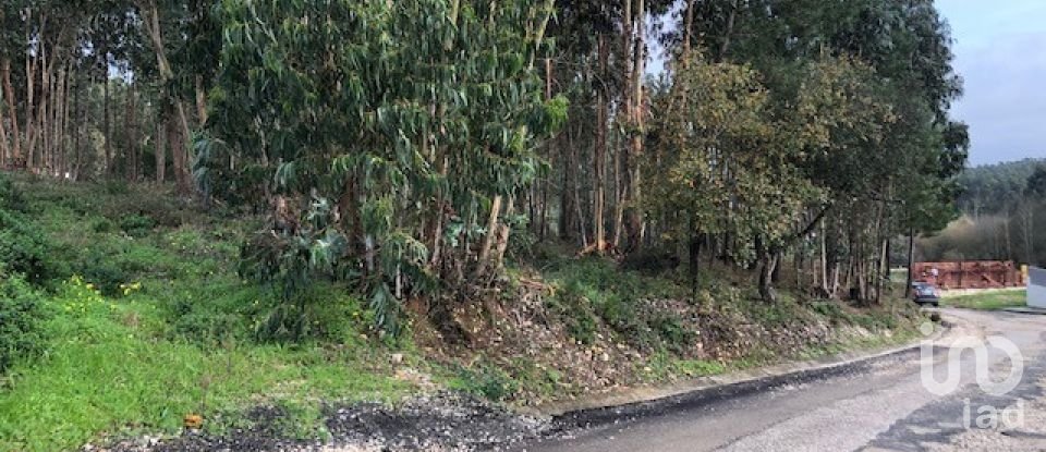 Building plot in Marinha Grande of 4,547 m²