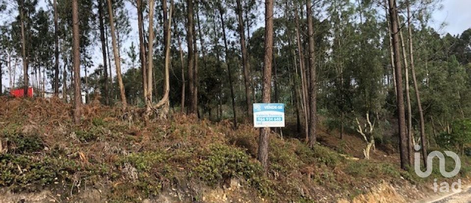 Building plot in Marinha Grande of 4,547 m²