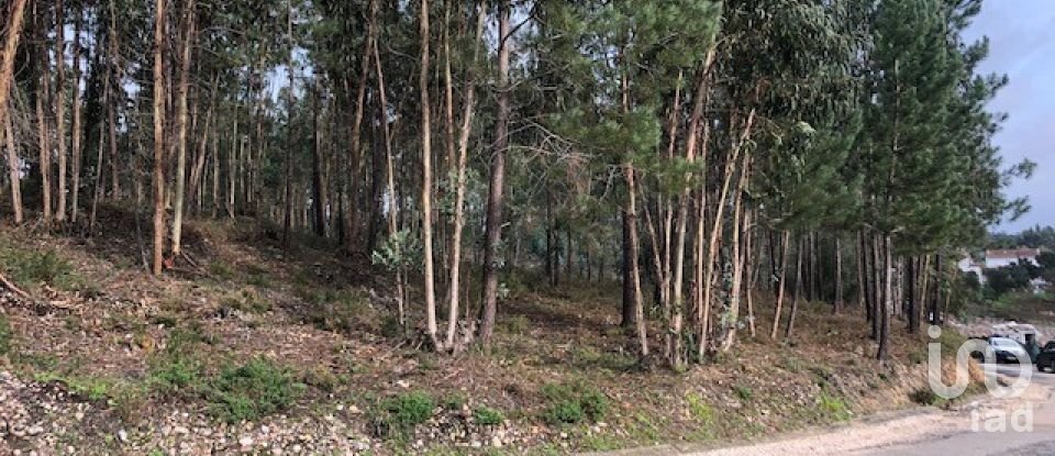 Building plot in Marinha Grande of 4,547 m²