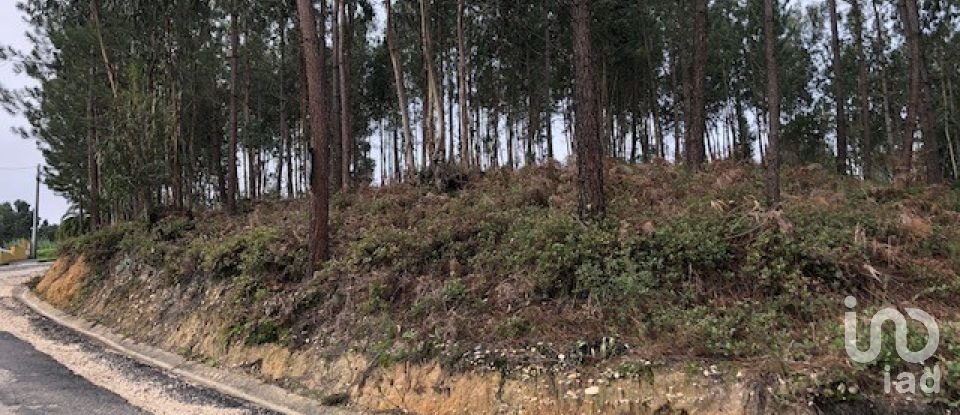 Building plot in Marinha Grande of 4,547 m²