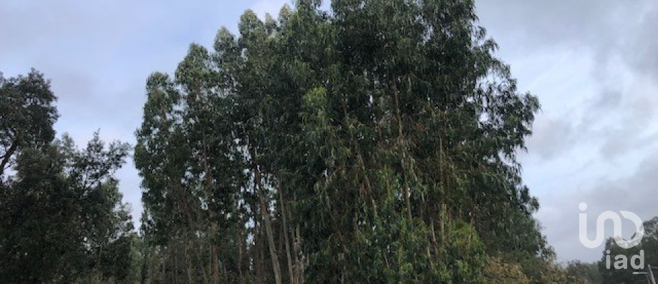 Building plot in Marinha Grande of 4,547 m²