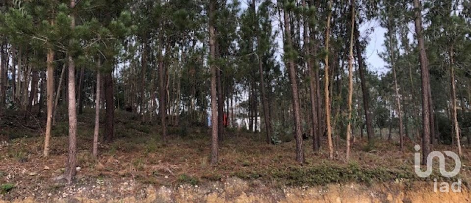 Building plot in Marinha Grande of 4,547 m²