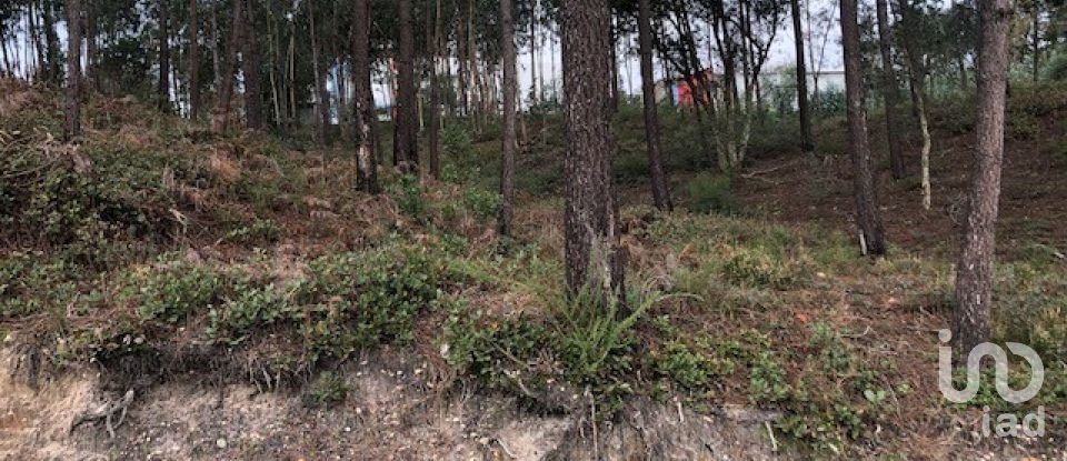 Building plot in Marinha Grande of 4,547 m²