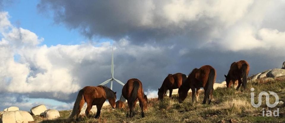 Quinta T5 em Mosteiro de 289 m²