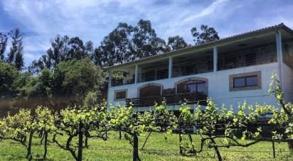 Ferme T5 à Mosteiro de 289 m²