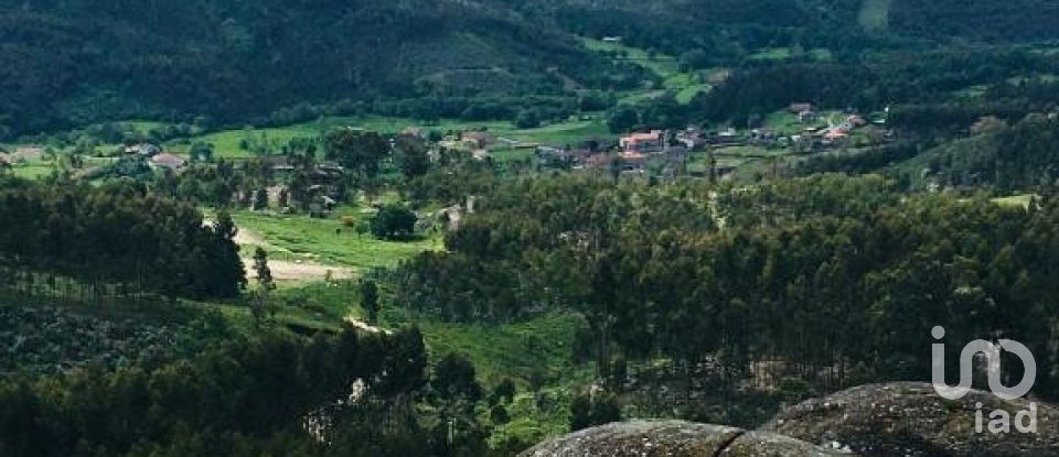 Quinta T5 em Mosteiro de 289 m²