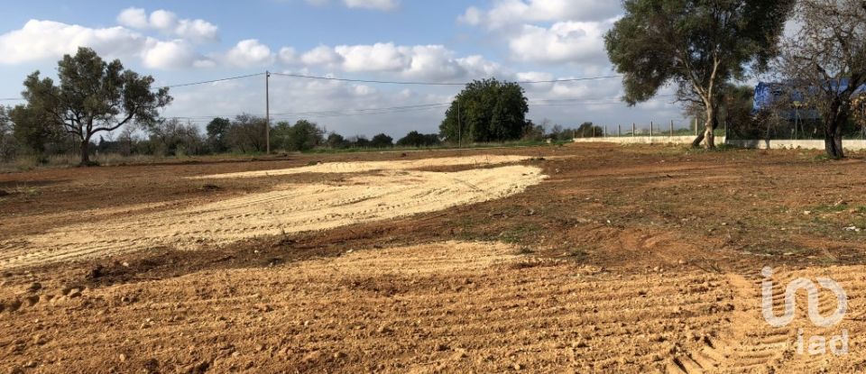 Land in Quarteira of 6,467 m²