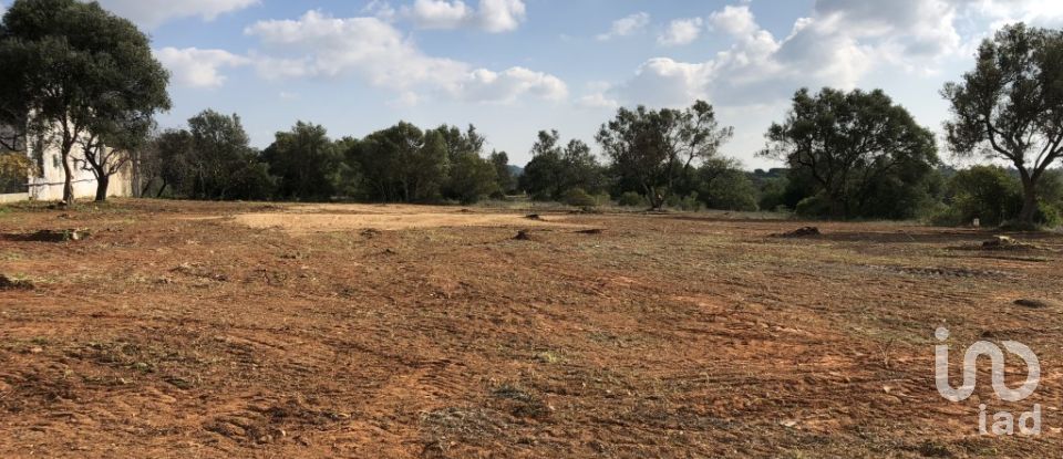 Land in Quarteira of 6,467 m²