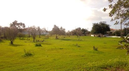 Terrain à Loulé (São Clemente) de 4 530 m²