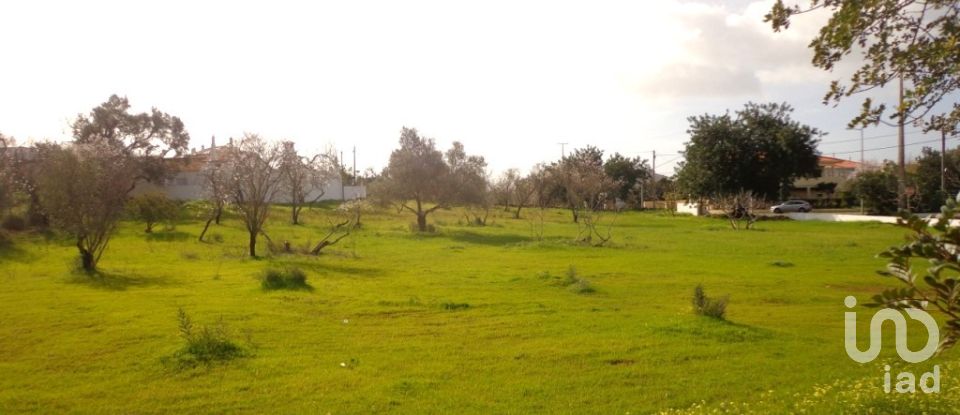 Terrain à Loulé (São Clemente) de 4 530 m²