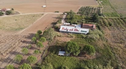 Farm T2 in Miragaia e Marteleira of 184 m²